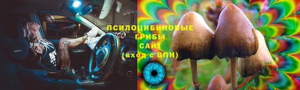 герыч Новокубанск