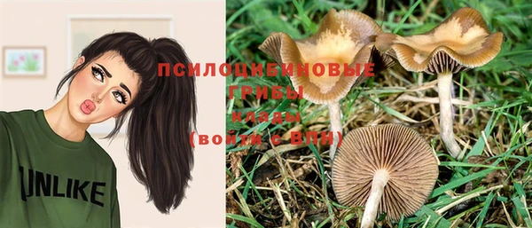 гашиш Новозыбков