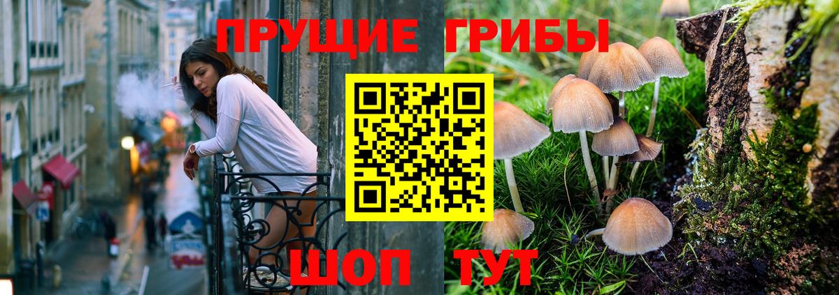 Псилоцибиновые грибы мухоморы  Вход с VPN  Хабаровск  Псилоцибиновые грибы прущие грибы 